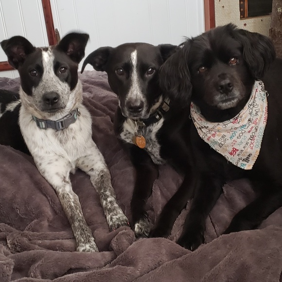 ~Kristyn~  💗 Posh Ambassador 💗 - Picture 8 of 8